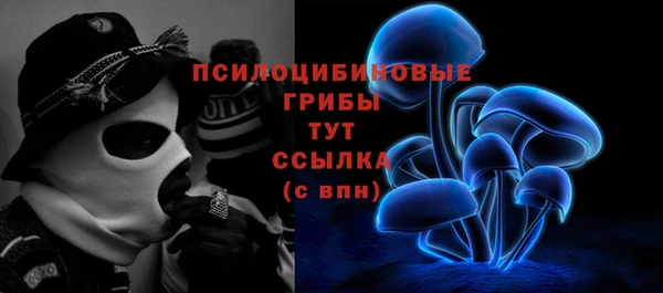 дживик Алзамай