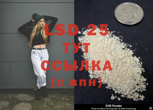 дживик Алзамай