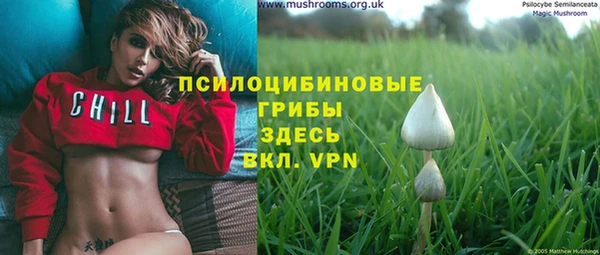 дживик Алзамай